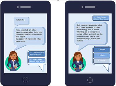 A Rationale for a Gamified E-Coach Application to Decrease the Consumption of Sugar Sweetened Beverages